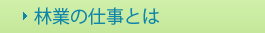 林業の仕事とは