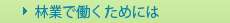 林業で働くためには